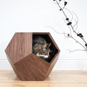 Cat Room Design Ideas