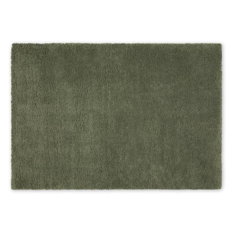 Green living room - rug