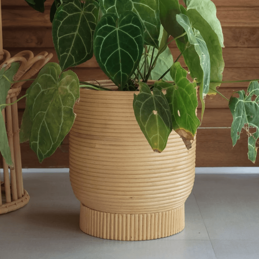 Rattan Plant Pots